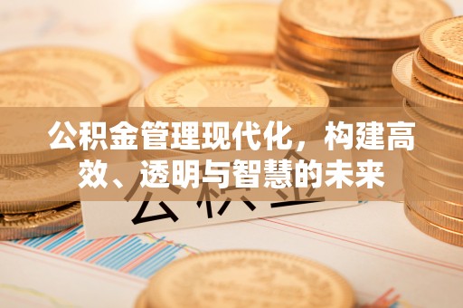 巢湖公积金管理现代化，构建高效、透明与智慧的未来