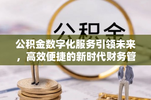 巢湖公积金数字化服务引领未来，高效便捷的新时代财务管理