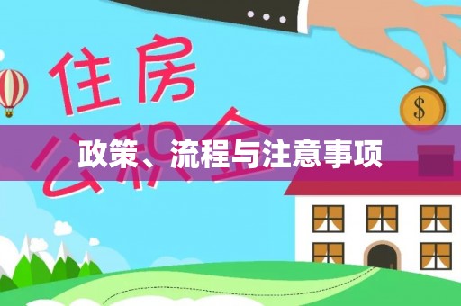 巢湖政策、流程与注意事项