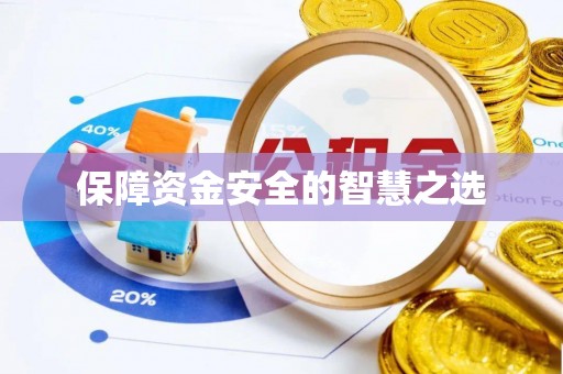 巢湖保障资金安全的智慧之选