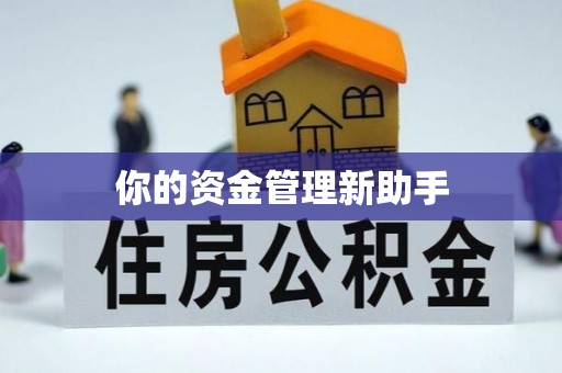 巢湖你的资金管理新助手