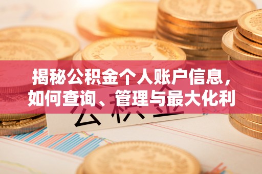 巢湖揭秘公积金个人账户信息，如何查询、管理与最大化利用