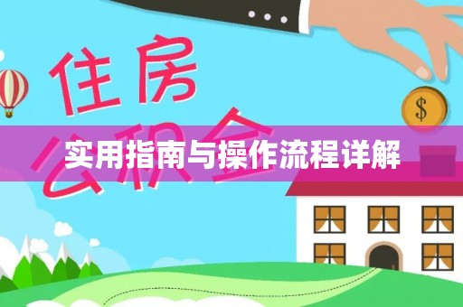 巢湖实用指南与操作流程详解