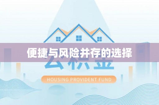巢湖便捷与风险并存的选择