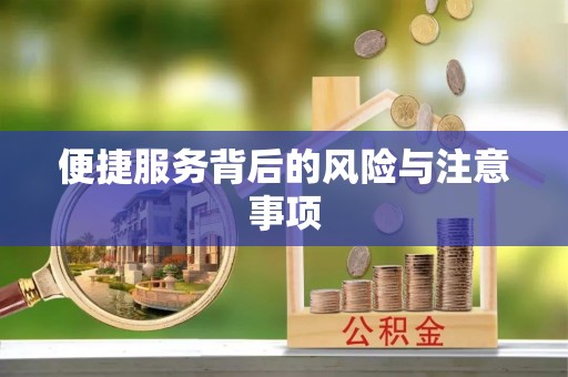 巢湖便捷服务背后的风险与注意事项