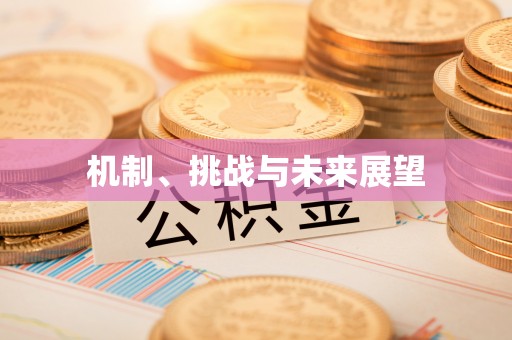 巢湖机制、挑战与未来展望